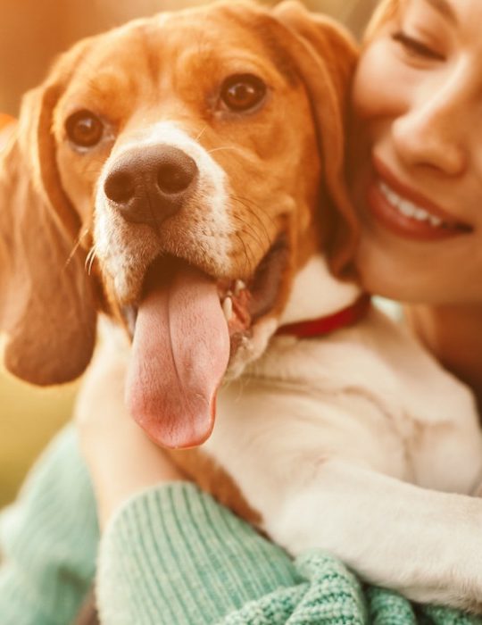 a woman holding a beagle in her arms at The  Hargrove at Southpoint